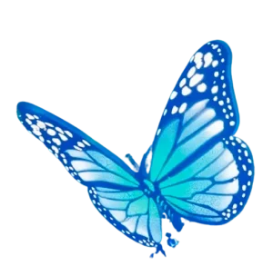 An Image Of Risk Rock x Legendary Organics Blue Butterfly facing left