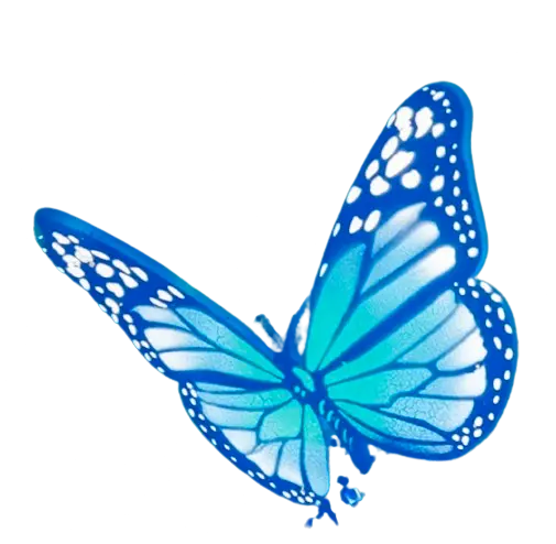 An Image Of Risk Rock x Legendary Organics Blue Butterfly facing left