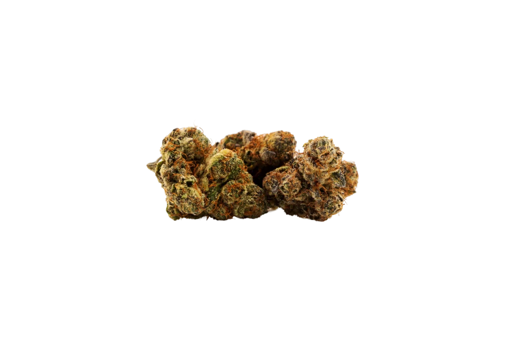 Cannabis deals on Up North's Golden Papaya Cannabis Flower at legendary organics. Daily Deals, Local Cannabis Deals, Happy Hours. Cannabis Deals in Oxnard.
