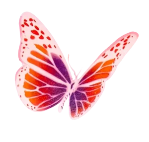 An Image Of Risk Rock x Legendary Organics Pink Butterfly facing right
